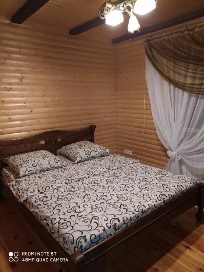 Карпатські Зорі Βίλα Pilipets Εξωτερικό φωτογραφία